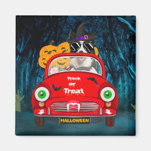 Imã Borda Cão Condutor Carro Assustador Halloween