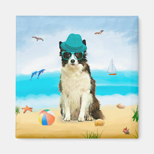 Imã Borda Collie Dog na praia