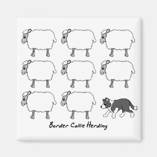 Imã Borda Collie Herding Sheep Magnet