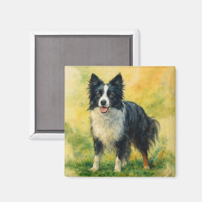Imã Border Collie (Front/Back)