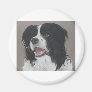 Imã Border collie 3