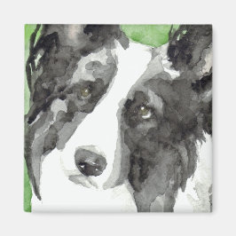 Imã Border Collie Aquarela
