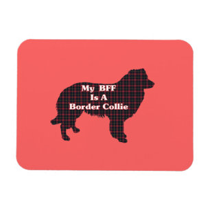 Ímã Border Collie BFF