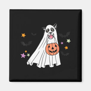Imã Border Collie Boo Cachorro Preto E Branco No Hallo
