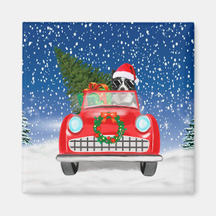 Imã Border Collie Cão Dirigindo Carro Na Neve Natal