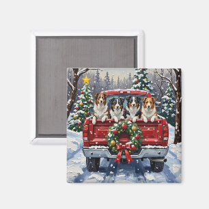 Imã Border Collie Natal Caminhão Vermelho Férias