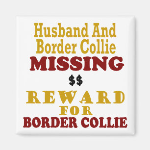 Imã Border collie & recompensa faltante do marido para