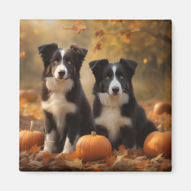 Imã Bordo Collie Puppy Autumn Delight Pumpkin (Frente)