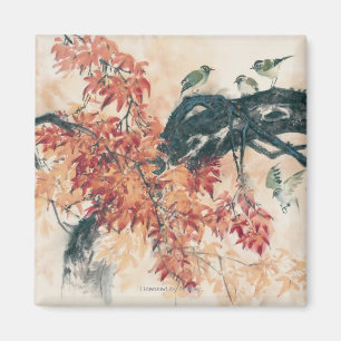 Imã Bordos vermelhos