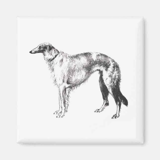 Imã Borzoi Martynow Etching (Frente)