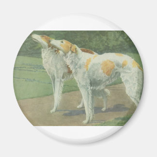 Imã Borzoi (Wolfhound russo)