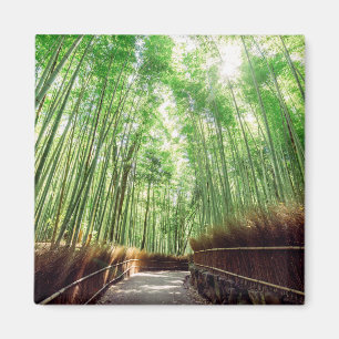 Imã Bosque de bambu   Arashiyama, Kyoto, Japão
