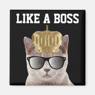 IMÃ BOSS CAT MAGNETS