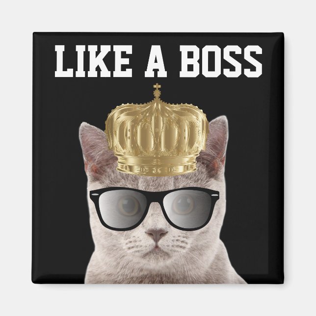 IMÃ BOSS CAT MAGNETS (Frente)