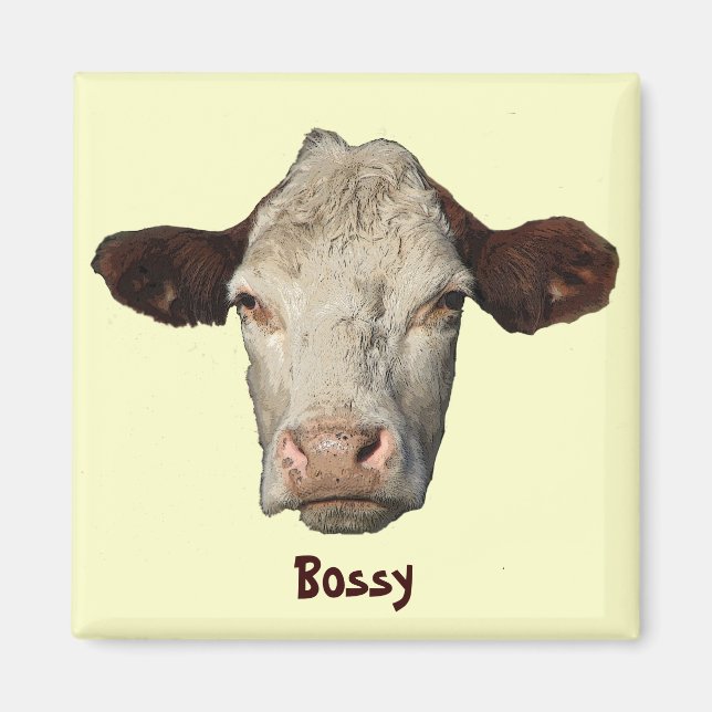 Imã Bossy, a vaca (Frente)