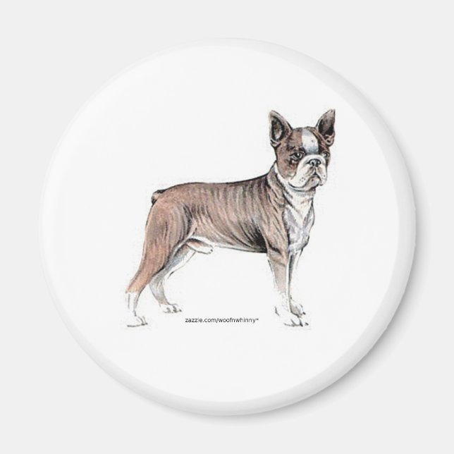 Imã Boston Terrier (Frente)
