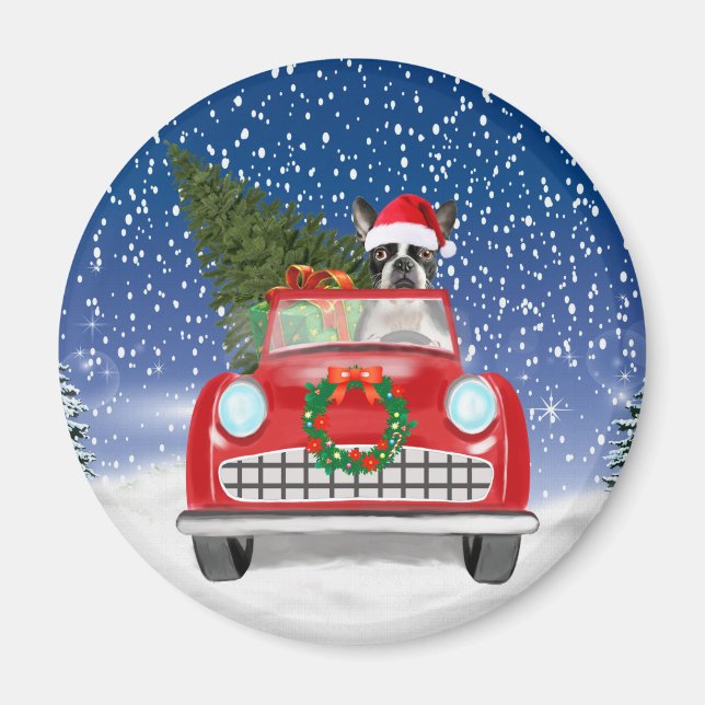 Imã Boston terrier Cão Dirigindo Carro Na Neve Natal (Frente)