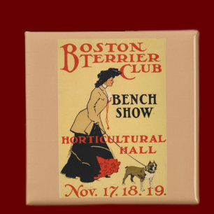 Imã Boston Terrier Club