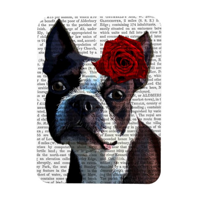 Ímã Boston Terrier com Rosa na cabeça (Vertical)