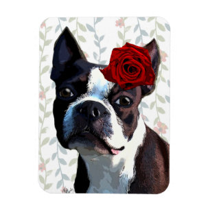 Ímã Boston Terrier com Rosa na Cabeça 2