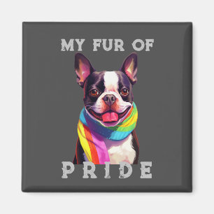 Imã Boston Terrier Dog Rainbow Engraçado Meu Orgulho D