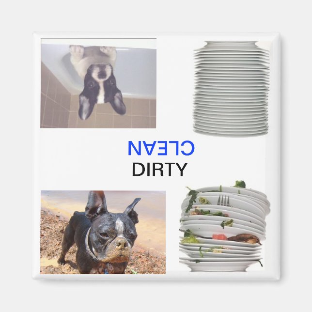 Imã Boston Terrier Dsuy/Clean Dishewasher Magnet (Frente)