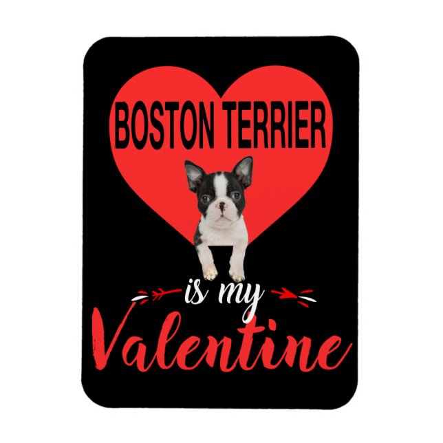 Ímã Boston Terrier é o meu presente de Namorados (Vertical)