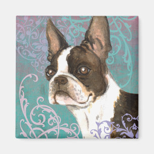 Imã Boston Terrier elegante