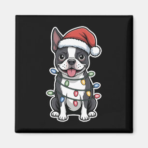 Imã Boston Terrier embrulhada em luzes de Natal