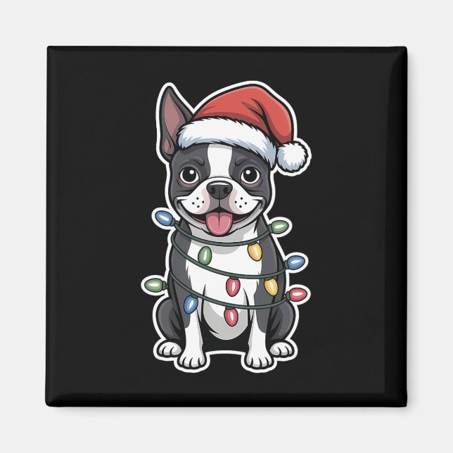 Imã Boston Terrier embrulhada em luzes de Natal (Frente)