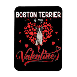 Ímã Boston Terrier engraçado é meu Namorados