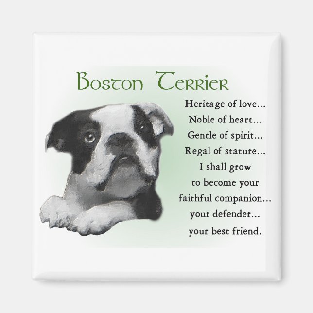 Imã Boston Terrier Gifts (Frente)