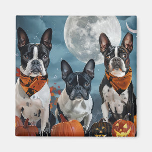 Imã Boston Terrier Halloween Assustador