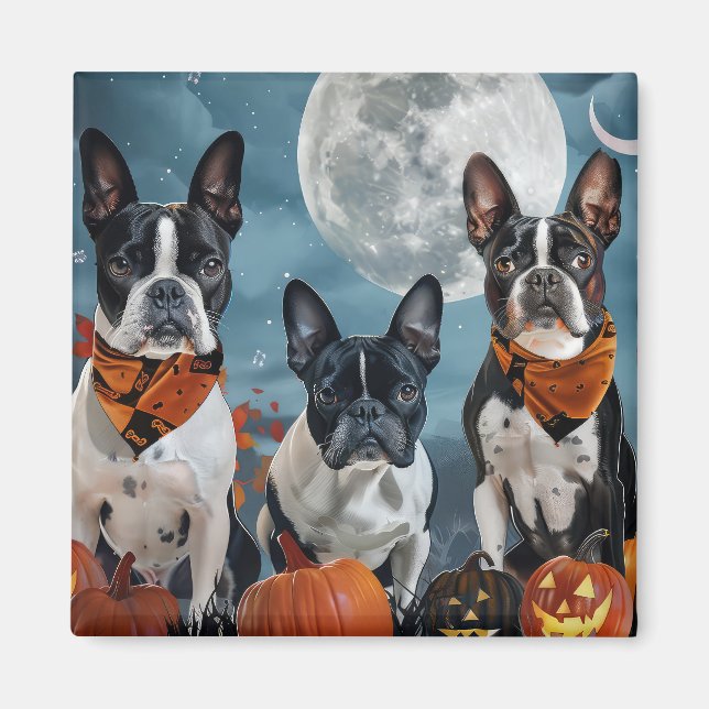 Imã Boston Terrier Halloween Assustador (Frente)