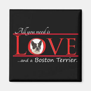 Imã Boston Terrier Love Magnet