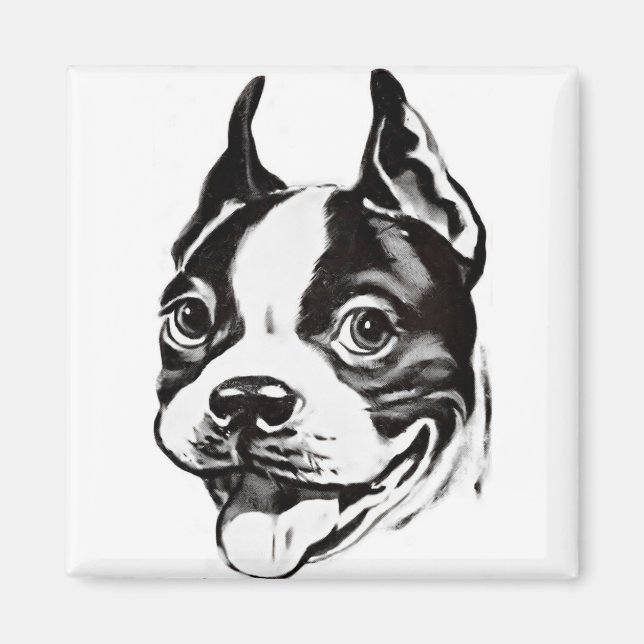 Imã Boston Terrier Magnet (Frente)