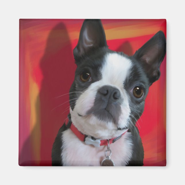 Imã Boston Terrier Magnet (Frente)
