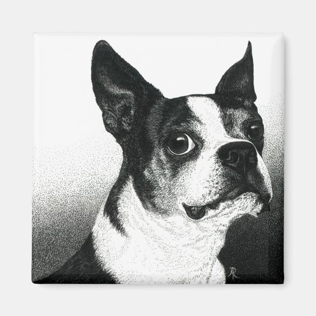 Imã Boston Terrier Magnet - "Boston Style" (Frente)