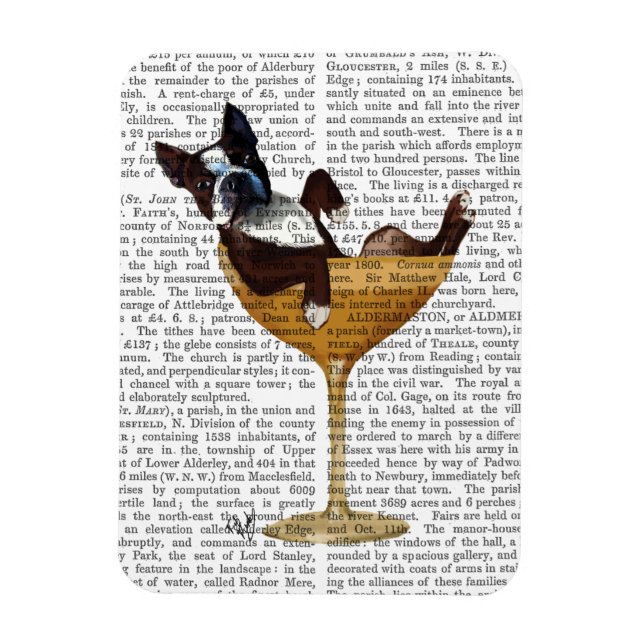 Ímã Boston Terrier no Cocktail Glass 2 (Vertical)