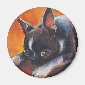 Imã Boston Terrier pintando cachorro Svetlana Novikova