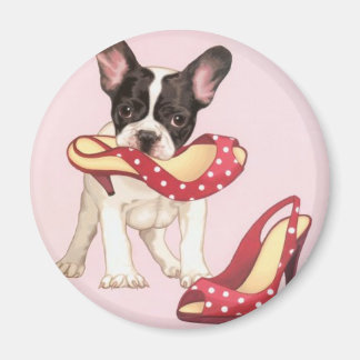 Imã Boston Terrier Puppy Com Calçados