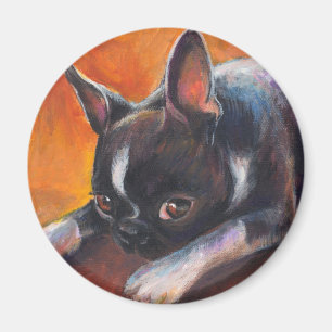 Imã Boston Terrier que pinta o cão Svetlana Novikova