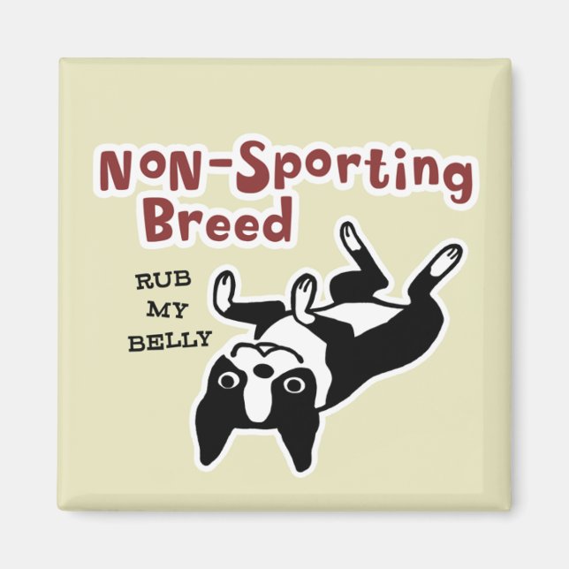 Imã Boston Terrier "Raça Não Esportiva" (Frente)
