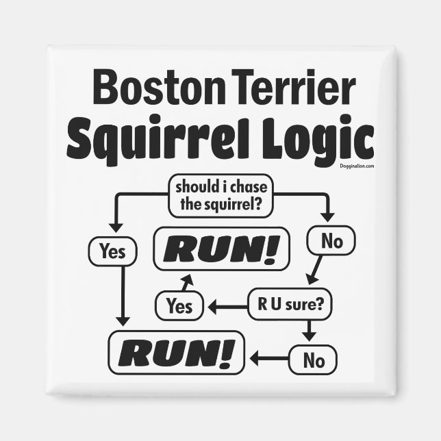 Imã Boston Terrier Squirrel Logic (Frente)
