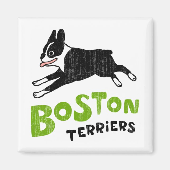 Imã Boston Terriers (Frente)
