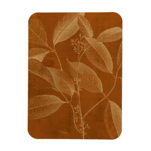 Ímã Botânica Moderna VI