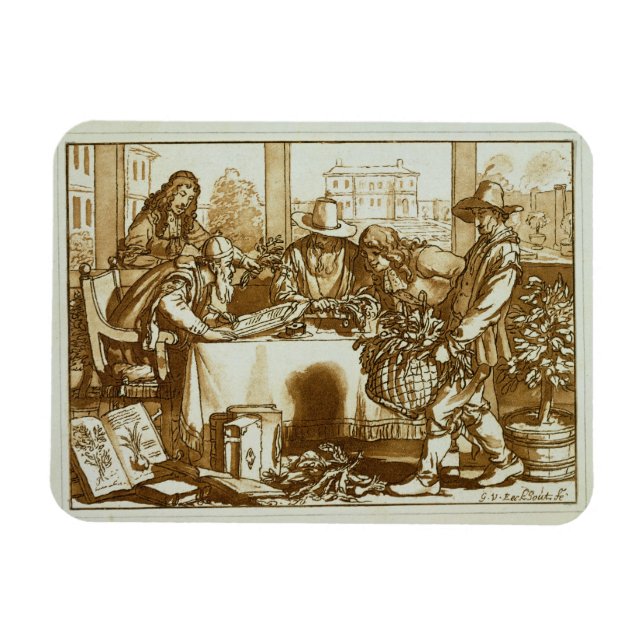 Ímã Botânicos examinando plantas (lito) (Horizontal)