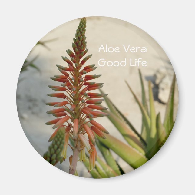 Imã Botão de flor da planta Aloe Vera (Frente)