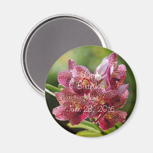 Imã Botão tropical do conjunto da orquídea de Vanda