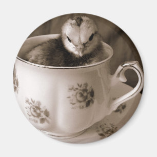 Imã Botas Em Uma Taça De Chá